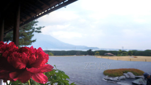 从仙岩园御殿遥望樱岛火山.jpg