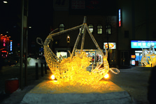 WN8I0127_SD