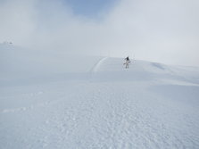 IMG_0884.jpg