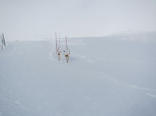 IMG_0885.jpg