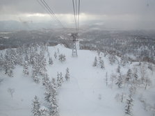 IMG_0890.jpg
