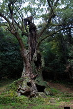 DSC_9016.JPG