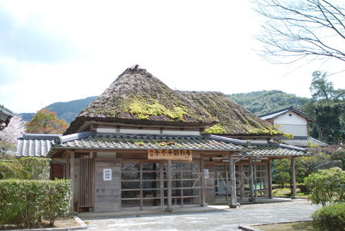 DSC_9102.JPG