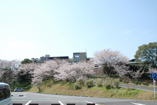 いろは島温泉002.JPG