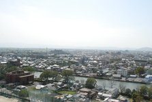 DSC_8878.JPG