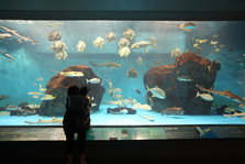 IMG_9996.JPG