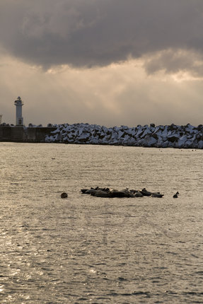 WAKKANAI-k01