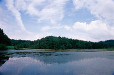 樫原湿原（唐津市七山）