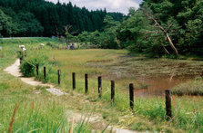 樫原湿原（唐津市七山）