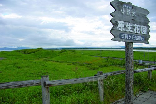 l_161845.jpg