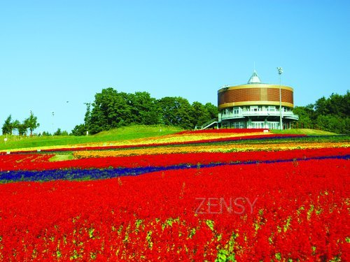 20110707_005.jpg
