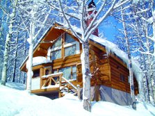 Log House 13 7.jpg