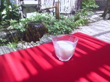 IMG_20120803_095822