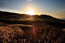 IMG_4415.jpg