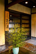IMG_4553.jpg
