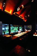 IMG_5610.jpg