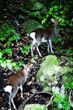 IMG_6663.jpg