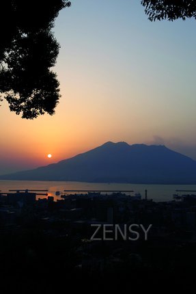IMG_4382.jpg