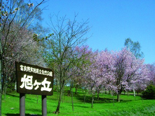 asahigaoka_park.jpg