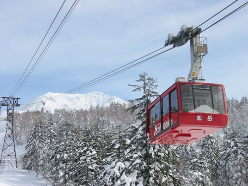 20101231_001.jpg