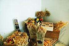 IMG_3232.jpg