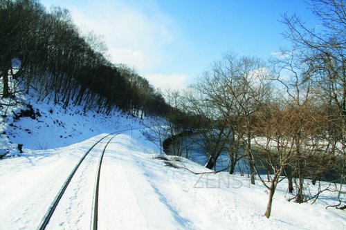 tn_172.jpg