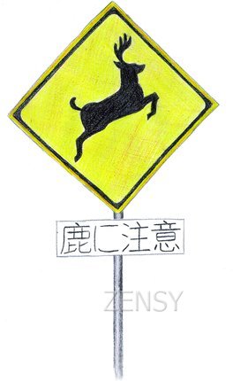 有鹿出没 IMG.jpg
