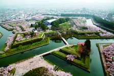 五稜郭公園桜全景090502.jpg