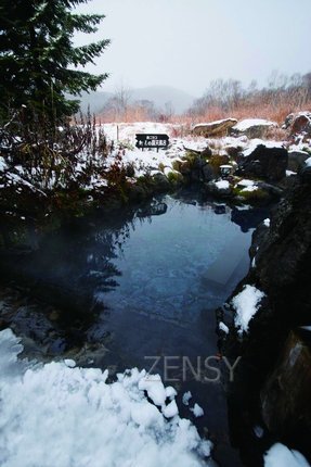 新見本館.jpg