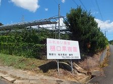 DSCF1601