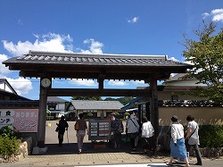 IMG_1448