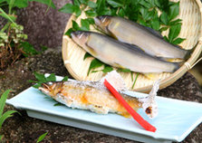 美食
