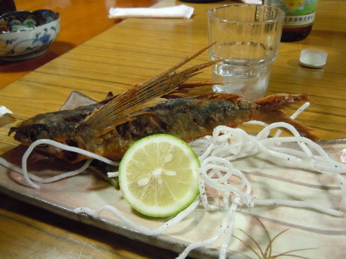 DSCN7012.JPG
