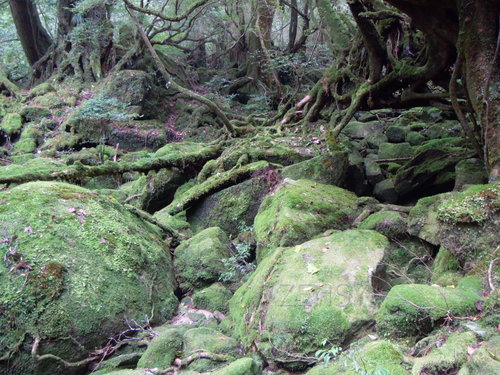 DSCN6835.JPG
