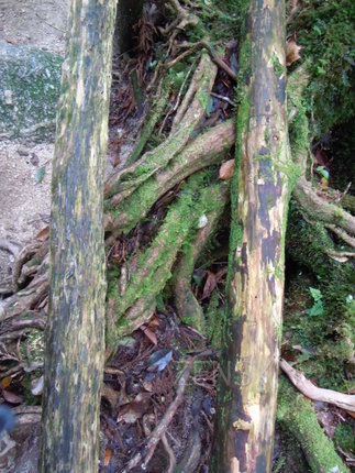 DSCN6839.JPG