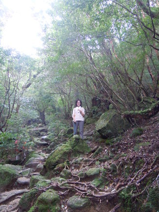 DSCN6856.JPG
