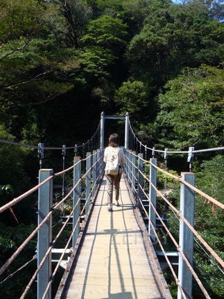 DSCN6872.JPG