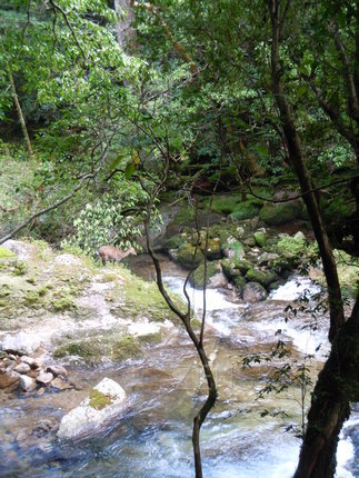 DSCN6884.JPG