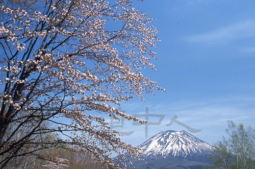 1434B 嶗偲梤掻嶳