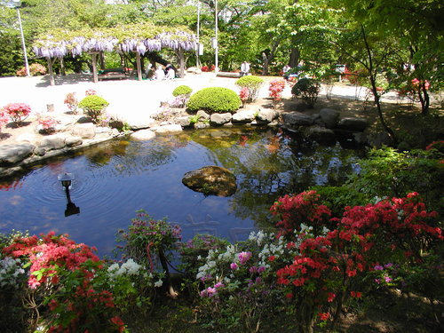 春_小樽公園