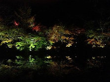 IMG_2168_副本