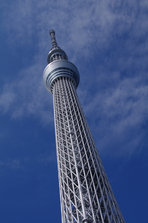 l_164519.jpg