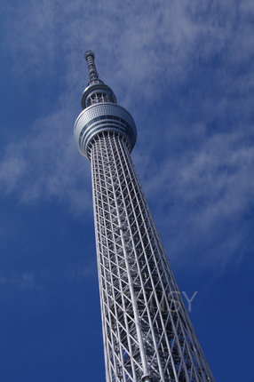 l_164519.jpg