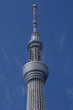 l_164529.jpg