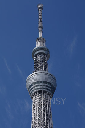 l_164529.jpg