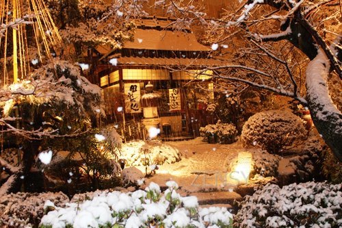 雪景色.JPG