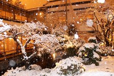 雪景色５.JPG