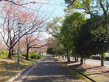 DSCF1994
