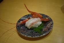 P1290063.JPG