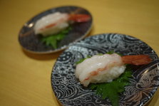 P1290067.JPG